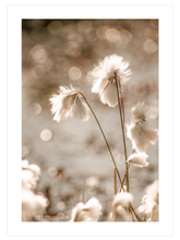 Happiness in Beige Poster Seti